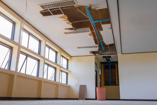 Best Water damage contractors near me  in Lely Resort, FL
