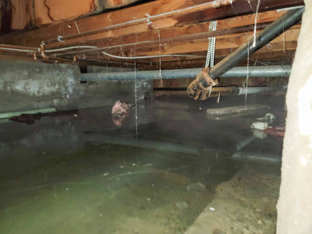 Best Emergency water damage restoration  in Lely Resort, FL