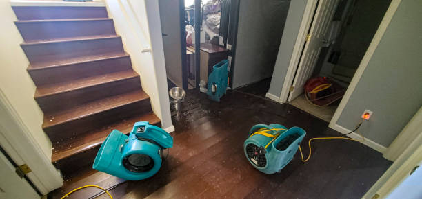 Best 24/7 water damage repair  in Lely Resort, FL