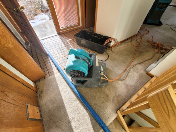 Best Flooded house restoration  in Lely Resort, FL