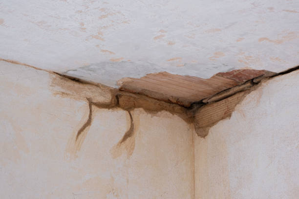 Best Flooded house restoration  in Lely Resort, FL