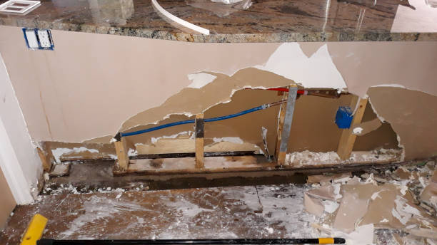 Best Mold removal after water damage  in Lely Resort, FL