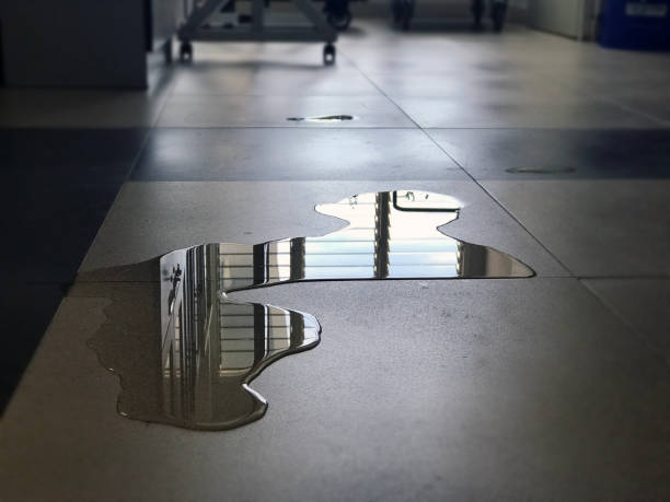 Best 24-hour water damage restoration  in Lely Resort, FL