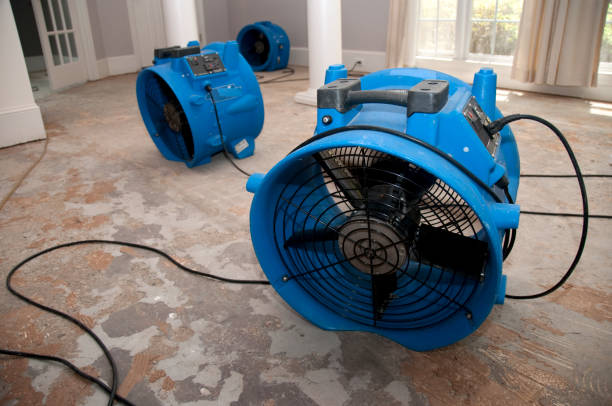 Best Professional water damage repair  in Lely Resort, FL