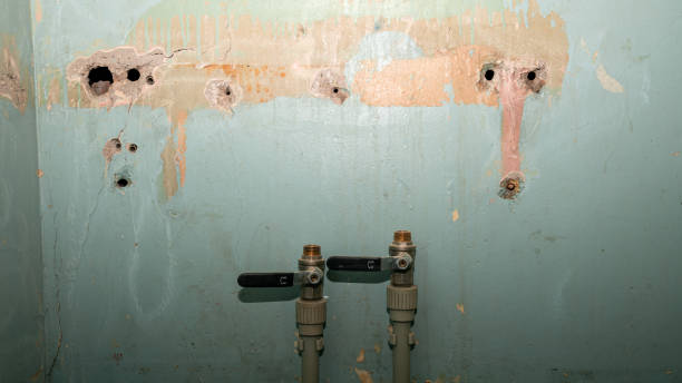 Best Flood damage cleanup  in Lely Resort, FL