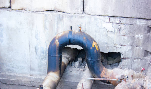 Best Local water damage restoration  in Lely Resort, FL
