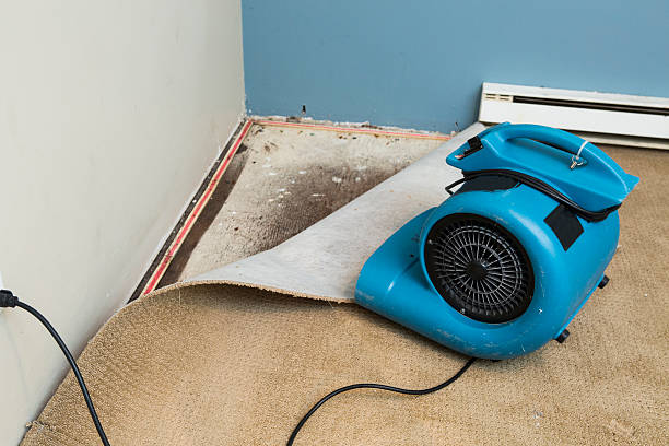 Best Water damage restoration near me  in Lely Resort, FL
